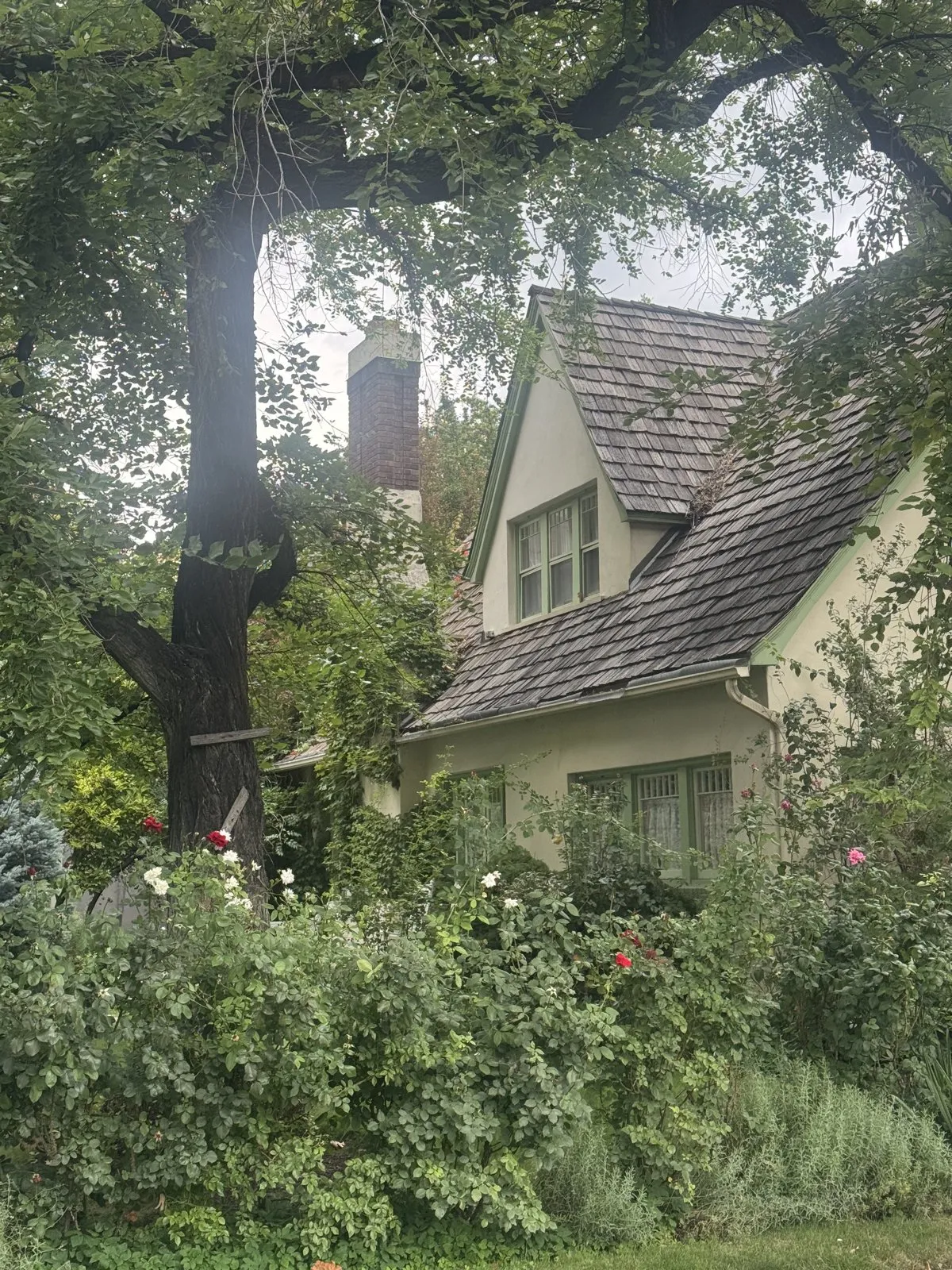 A cottage-style home with a steep wood-shingle roof surrounded by tall trees and bushes.