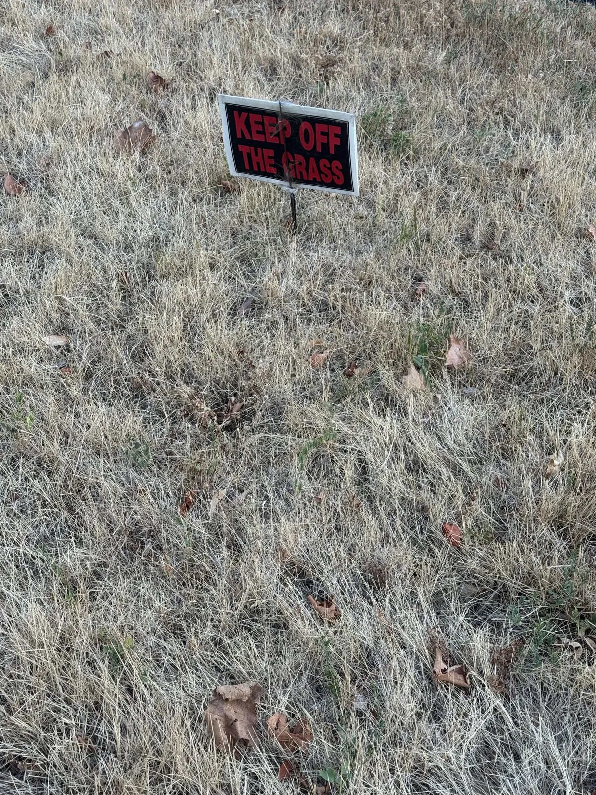 A small sign reading Keep Off The Grass placed in dry lawn turf.