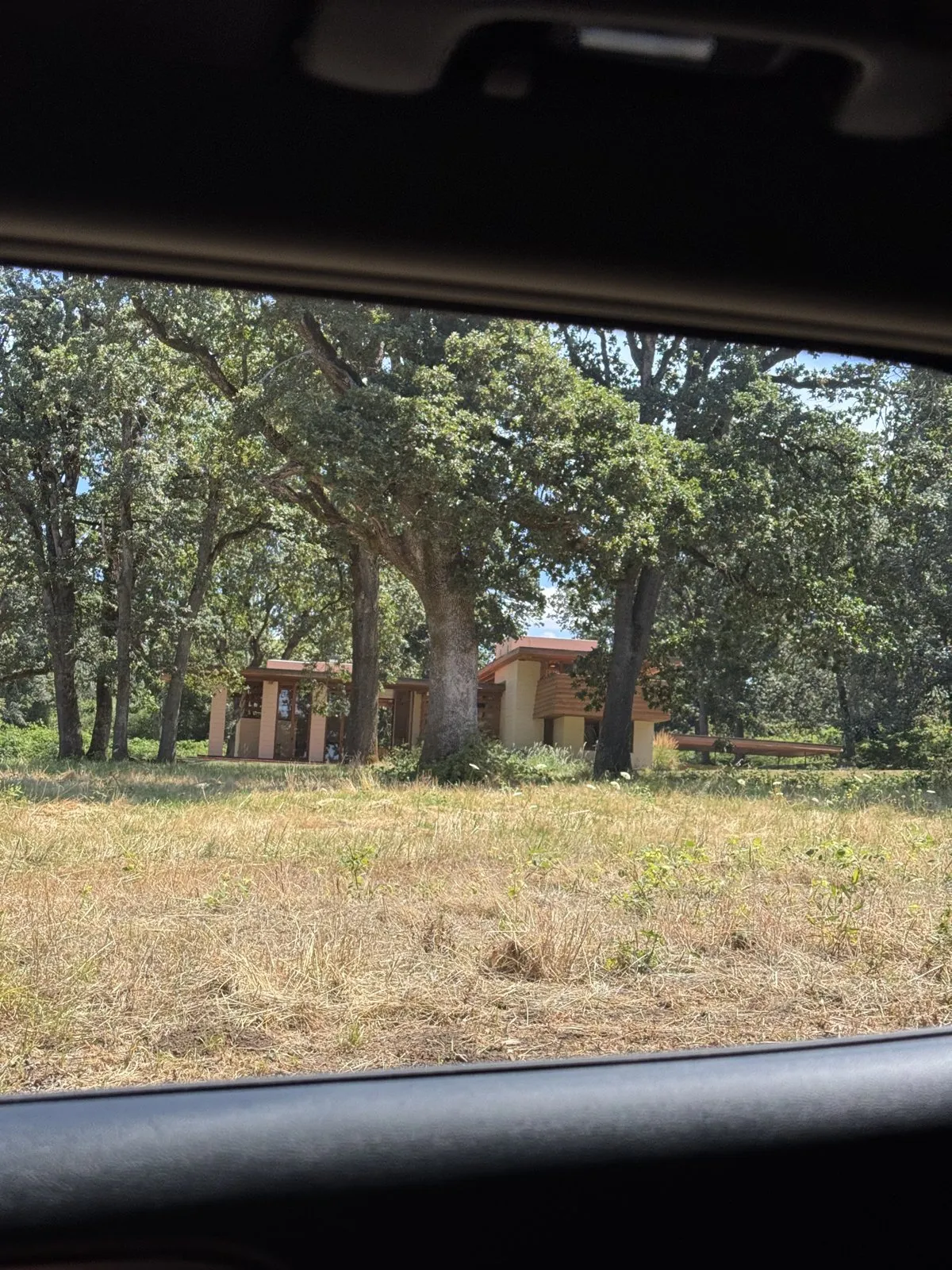 A low-profile residential home set among mature oak trees in a grassy field.