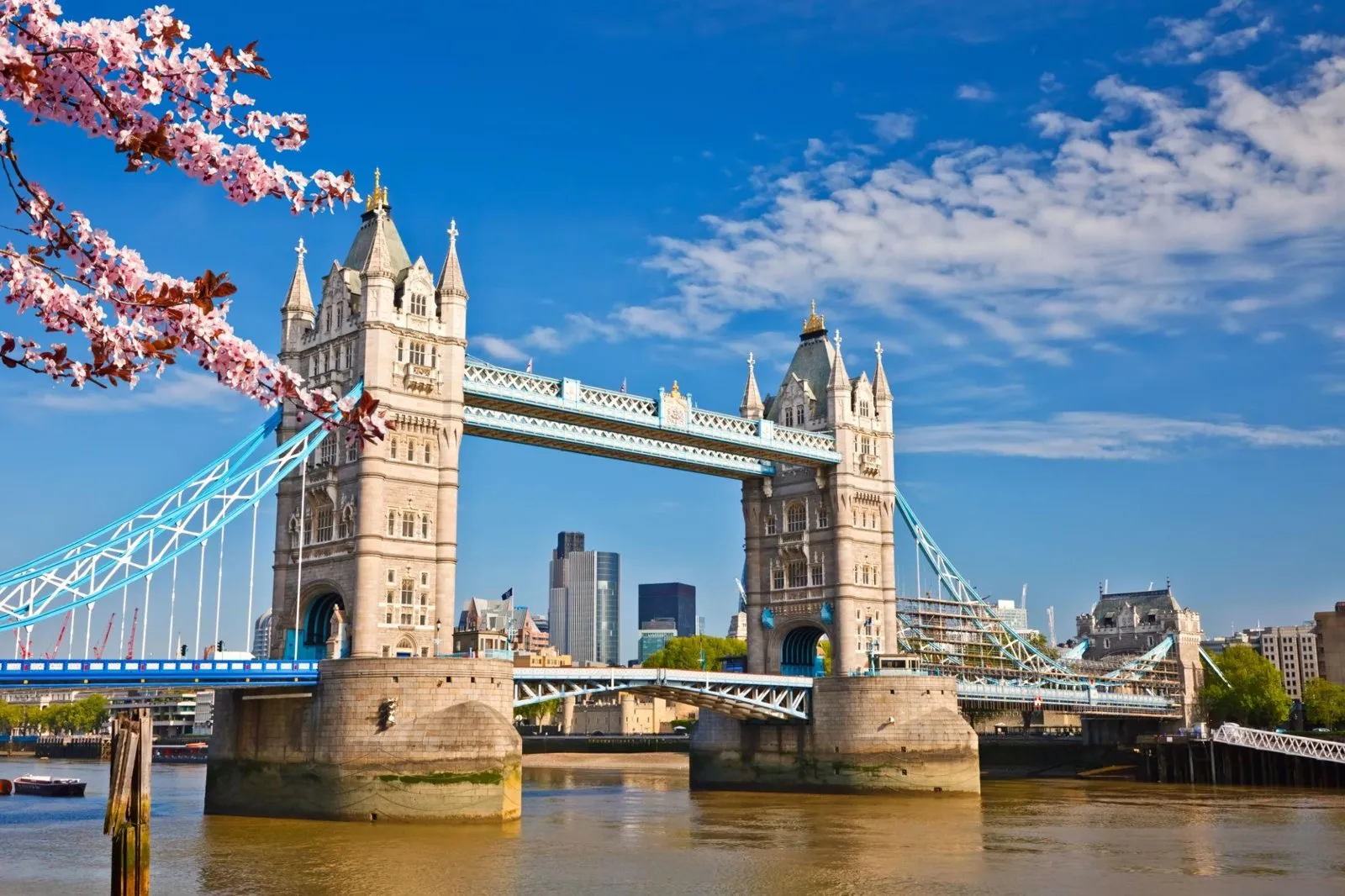 Tower Bridge spanning the River Thames on a clear sunny day with cherry blossoms in the foreground.